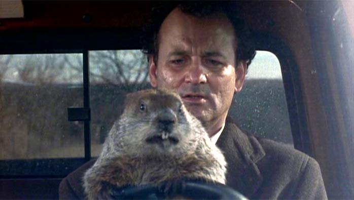 Is every day in your job like Groundhog Day?